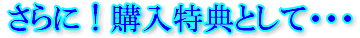 さらに!購入特典として